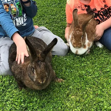 Lejlighed Kailgut Hallein