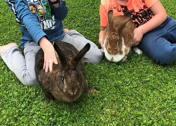 Apartamento Kailgut Hallein